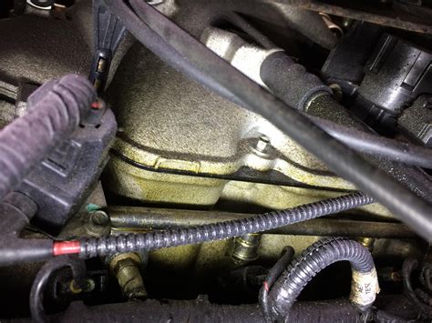 Mustang 342 oil leak advice. 